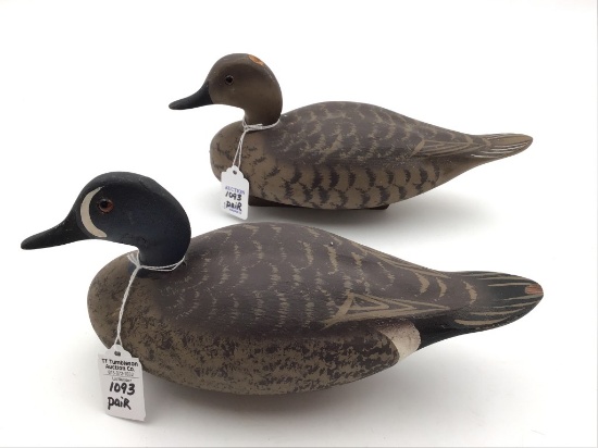 Pair of Wildfowler Teals