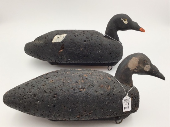 Pair of Cork White Wing Scoters