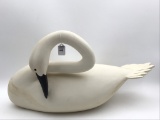 Nice Lg. Swan-Michael John Valley