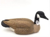 Dan Ellberg Canada Goose