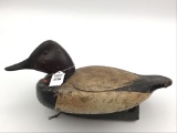 Michigan Canvasback