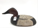 Michigan Bobtail Canvasback