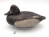 Ben Schmidt Bluebill