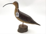Curlew-New Jersey