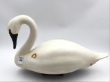 Unknown Lg. Swan
