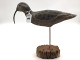 Herter's Curlew