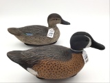 Pair of Blue Wing Teals