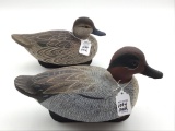 Pair of Green Wing Teals