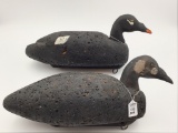 Pair of Cork White Wing Scoters