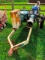 Cornelle Irrigation Pump