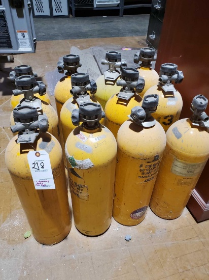 12 air pak tanks