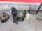 LOT: Axle Assemblies