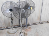 LOT: (3) Pedestal Fans