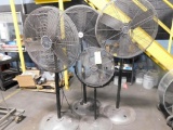 LOT: (4) Pedestal Fans