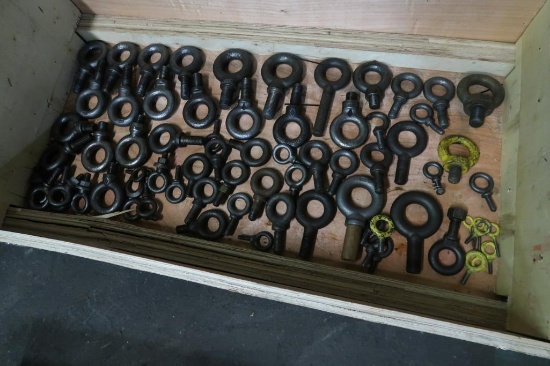 LOT: Assorted Lift Rings in (1) Crate