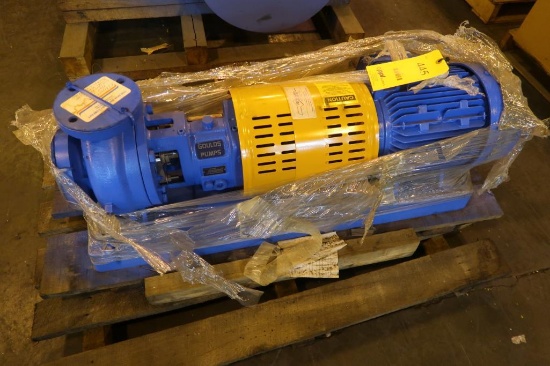 Gould 2x3 Pump Model 3196, with 3 HP Motor (new)