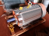Teco Westinghouse 200 HP Motor, 1200 RPM, Frame 449T