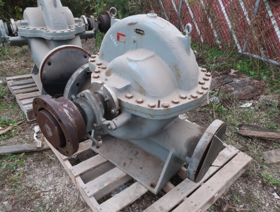 Flowserv Pump Model 8LR-195-17.5, 8 x 12 (approx.)