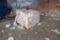 LOT: (25 approx.) Bags of Oil Dry (LOCATED AT: 4711 Gasmer Drive, Houston, TX 77035)