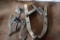 LOT: (4) Assorted Gear Pullers (LOCATED AT: 6810 Irvington Blvd., Houston, TX 77022)