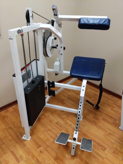 Cybex Back Extension Machine