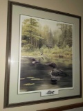 Loon Print 35