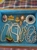 Costume Jewlery - Necklaces & Pins Lot