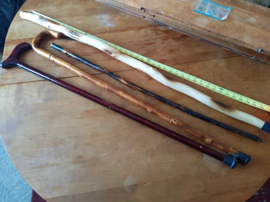 Walking Stick - Cane Lot