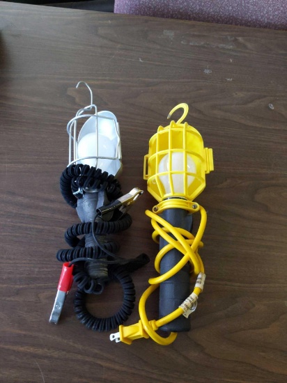 Trouble Light's Pair