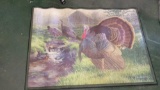 Turkey Area Rug 52