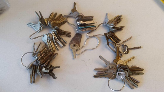 Variety of Keys Lot