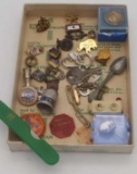 Pins & Charms Lot