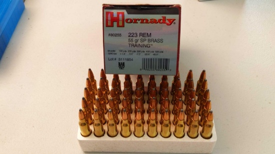 Hornady 223 Rrm 55gr SP Brass Training - 50 Rounds