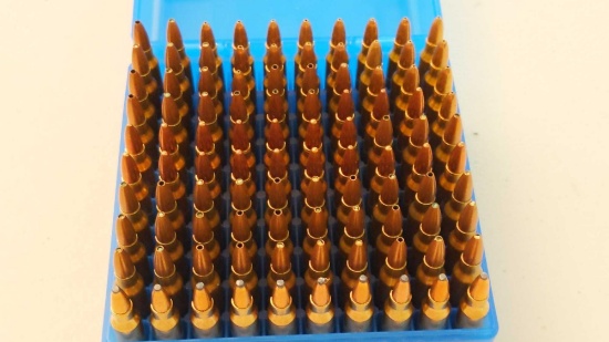 100 Rounds 223 Ammo