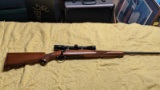 Ruger M77 .243 Winchester Bolt Action Rifle w/Bushnell SpotView Scope SN#72-81968