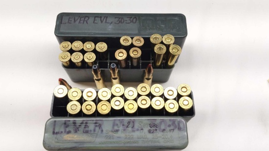 25 Hornady 30-30 Win & 6 RP 30-30 Win