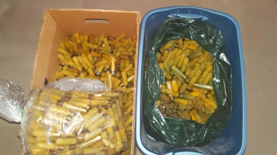 20 Ga Shell Variety - Tote & Box with Misc Shell Boxes