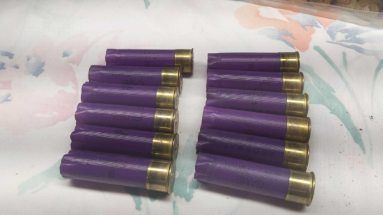 16 Ga Shotgun Shells 2 Totes & 1 Box with some Boxes