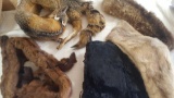 Fur fox stole and fur hand muff