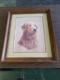 Dog picture 23x19
