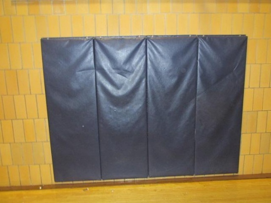 Wall Pads 6'x8' (screwed to wall)