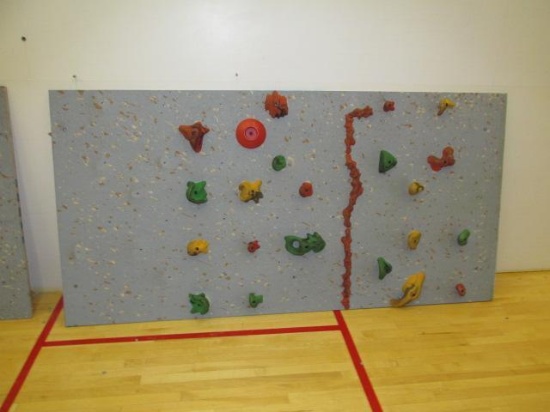 Rock wall set - 3-4'x8' Panels