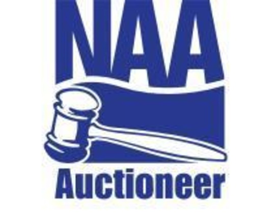 This Auction is in cooperation with Estate Sales Minnesota & Coordes Guns. - Information lot only!
