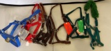 Six Horse Halters