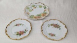 Gold Accented Hand Painted Plates - 2 Bavarian