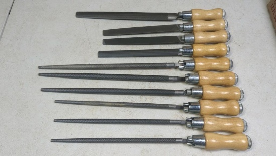 10-Piece Hand Files and Rasps Set, Wooden Handles, Variety of Shapes