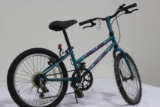 #262 GIANT COMMOTION GIRL'S GEAR BICYCLE