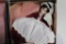 (7) MADAME ALEXANDER DOLLS INCLUDING MARME, JO, BETH, MEG, AMY, LAURIE, GON