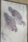 FRAMED ORIGINAL RED-HEADED WOODPECKER PRINT, 16