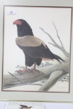 JOHN A. RUTHVEN BATELEUR EAGLE PRINT, SIGNED AND NUMBERED, 29